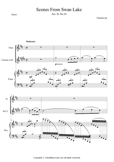 Scene From Swan Lake