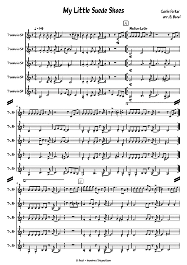 My Little Suede Shoes