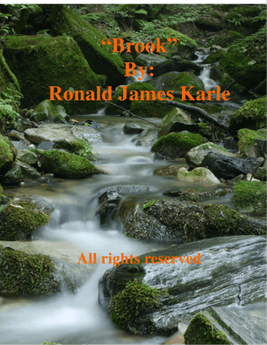 Brook