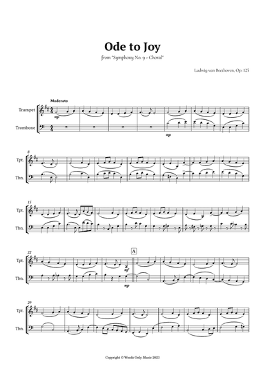 Ode to Joy by Beethoven for Trumpet and Trombone Duet