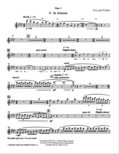 Songs for Women's Voices: 5. In Autumn (Downloadable Orchestra Parts)