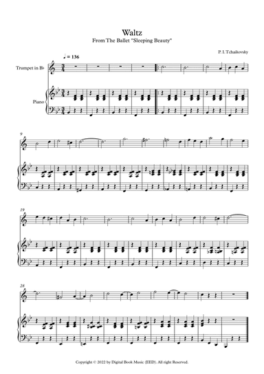 Waltz (Sleeping Beauty) - Peter Ilyich Tchaikovsky (Trumpet + Piano)