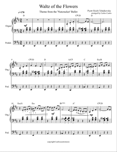 Waltz of the Flowers from The Nutcracker