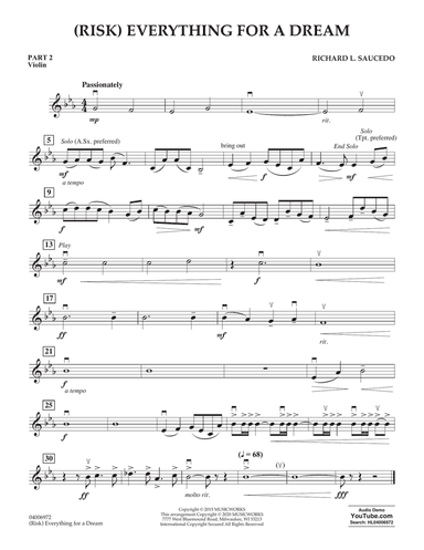 (Risk) Everything for a Dream - Pt.2 - Violin