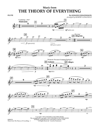 Music from "The Theory of Everything" - Flute