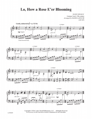 Lo, How a Rose E‘er Blooming