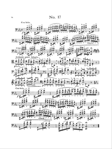 Popper: High School of Cello Playing, Op. 73 (40 Etudes)