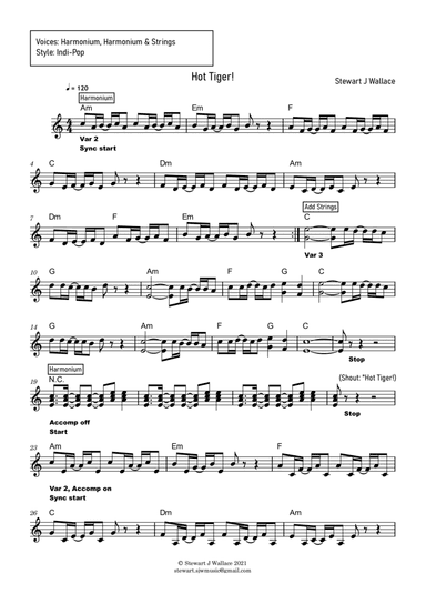 Hot Tiger! - Electronic keyboard