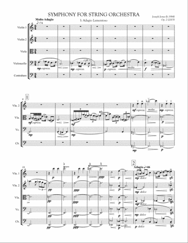 Symphony for String Orchestra, Op. 2