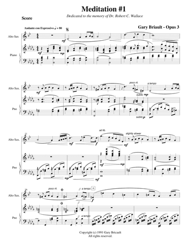 Meditation No. 1