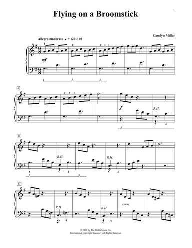 Flying On A Broomstick