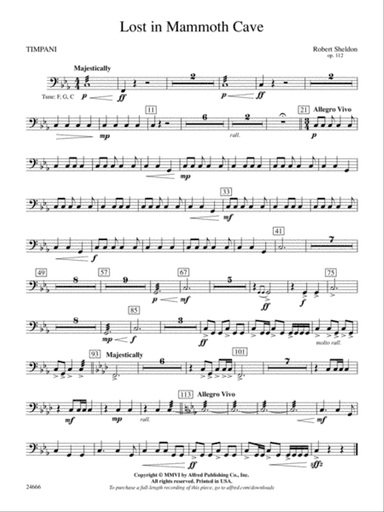 Lost in Mammoth Cave: Timpani