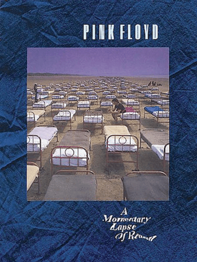 A Momentary Lapse Of Reason
