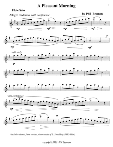 A Pleasant Morning-flute solo