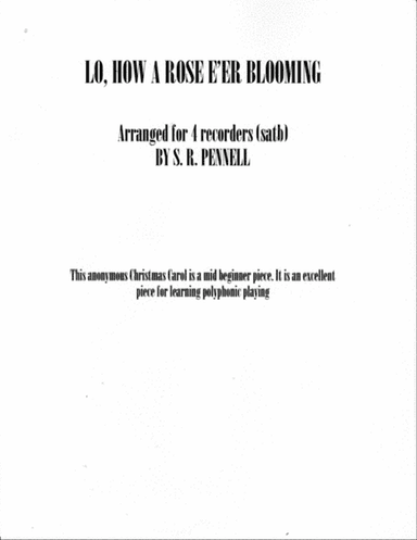 Lo, How A Rose E'er Blooming