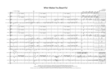 What Makes You Beautiful