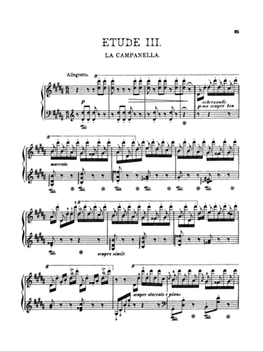 Liszt: Paganini Etudes