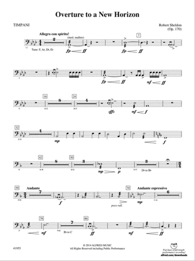 Overture to a New Horizon: Timpani