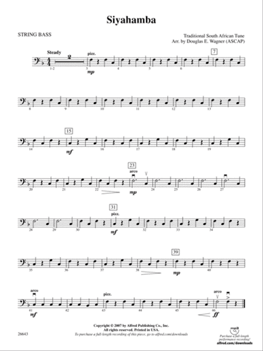 Siyahamba: String Bass