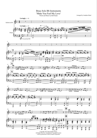 Make You Feel My Love