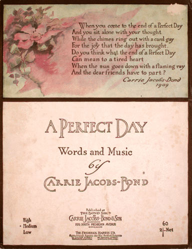 A Perfect Day
