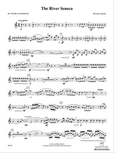 The River Seneca: B-flat Tenor Saxophone