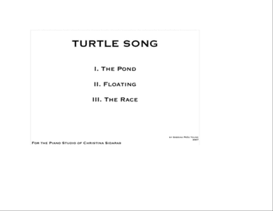 Turtle Songs for Beginner Piano
