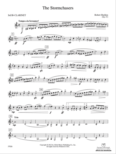 The Stormchasers: 3rd B-flat Clarinet