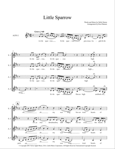Little Sparrow