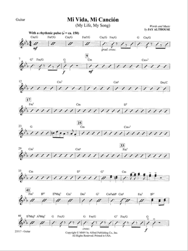Mi Vida, Mi Canción (My Life, My Song): Guitar