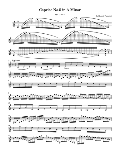 Solo Violin 24 Caprice No. 5 in A Minor - N. Paganini, Op. 1, No. 5