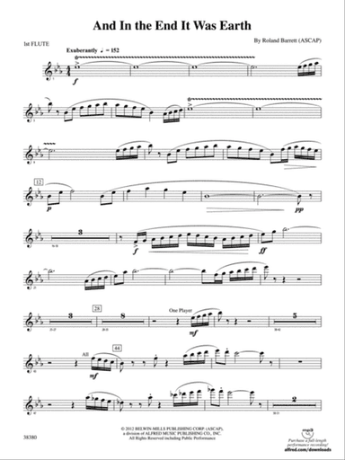 And in the End It Was Earth: Flute