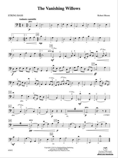 The Vanishing Willows: String Bass