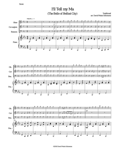 I'll tell my ma when I get home (The Belle of Belfast city) for double-reed trio and piano