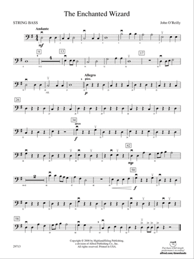 The Enchanted Wizard: String Bass