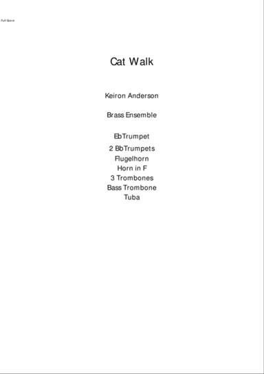Catwalk