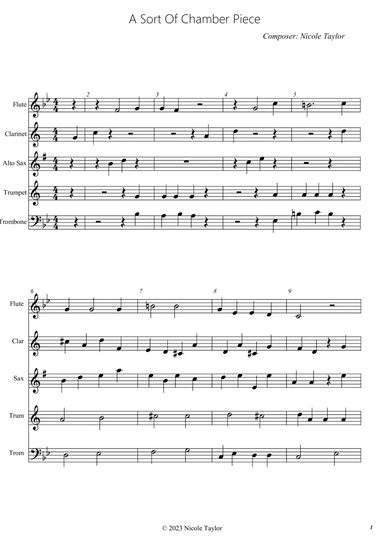 A Sort of Chamber Piece