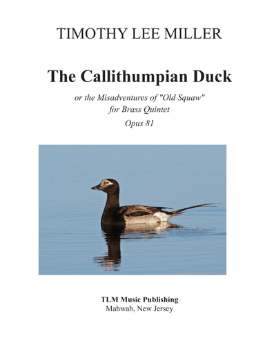 The Callithumpian Duck