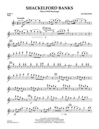 Shackelford Banks (Tale of Wild Mustangs) - Pt.1 - Flute