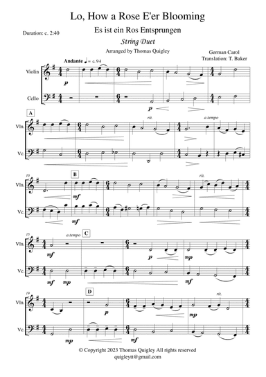 Lo, How a Rose E'er Blooming