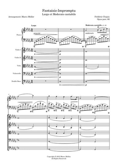 Fantaisie Impromptu (Largo et Moderato cantabile)