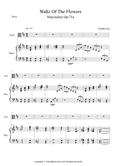 Nutcracker Op.71a - Waltz of the Flowers