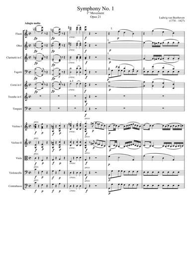 Symphony No. 1, 1st Movement Opus 21