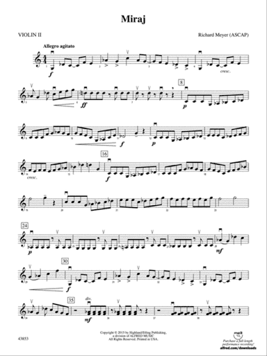 Miraj: 2nd Violin