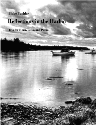 Reflections in the Harbor