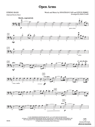 Open Arms: String Bass