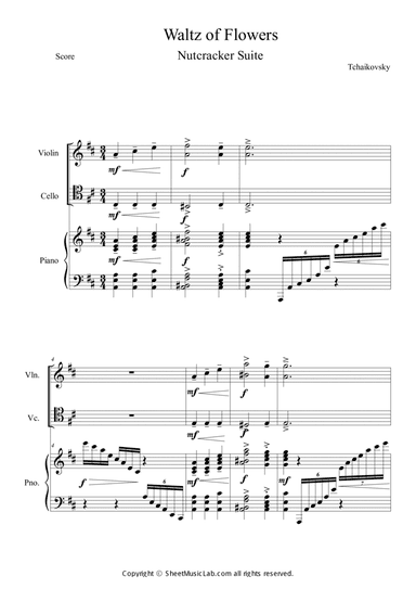Nutcracker Op.71a - Waltz of the Flowers