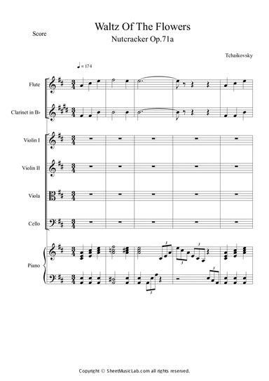 Nutcracker Op.71a - Waltz of the Flowers