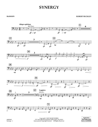 Synergy - Bassoon
