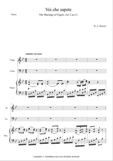Voi che sapete (The Marriage of Figaro, Act 2 no.11)